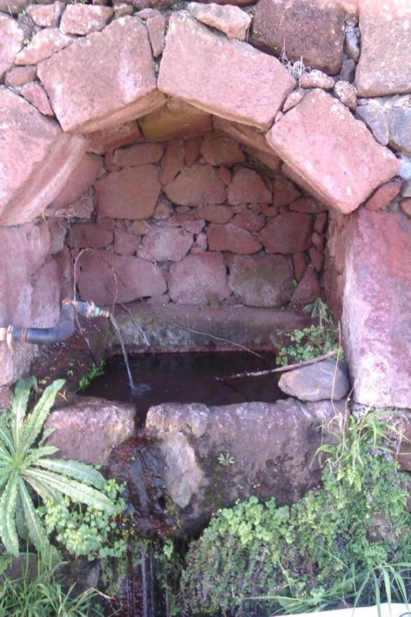 Casa Del Cu Bano A- Biosphere Reserve Taganana Ngoại thất bức ảnh
