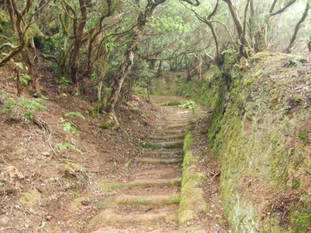 Casa Del Cu Bano A- Biosphere Reserve Taganana Ngoại thất bức ảnh